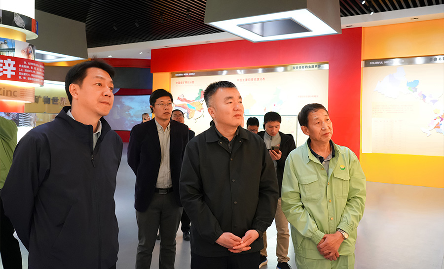 10.4-2024年04月，自然資源部礦保司副司長(zhǎng)王博蒞臨公司調(diào)研。.jpg